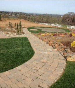 Sod in Sacramento, CA