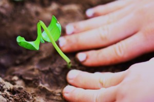 child planting in good soil