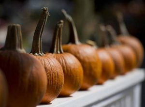 pumpkins
