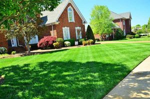 Lawn Care in Sacramento, CA - A Sod Lawn